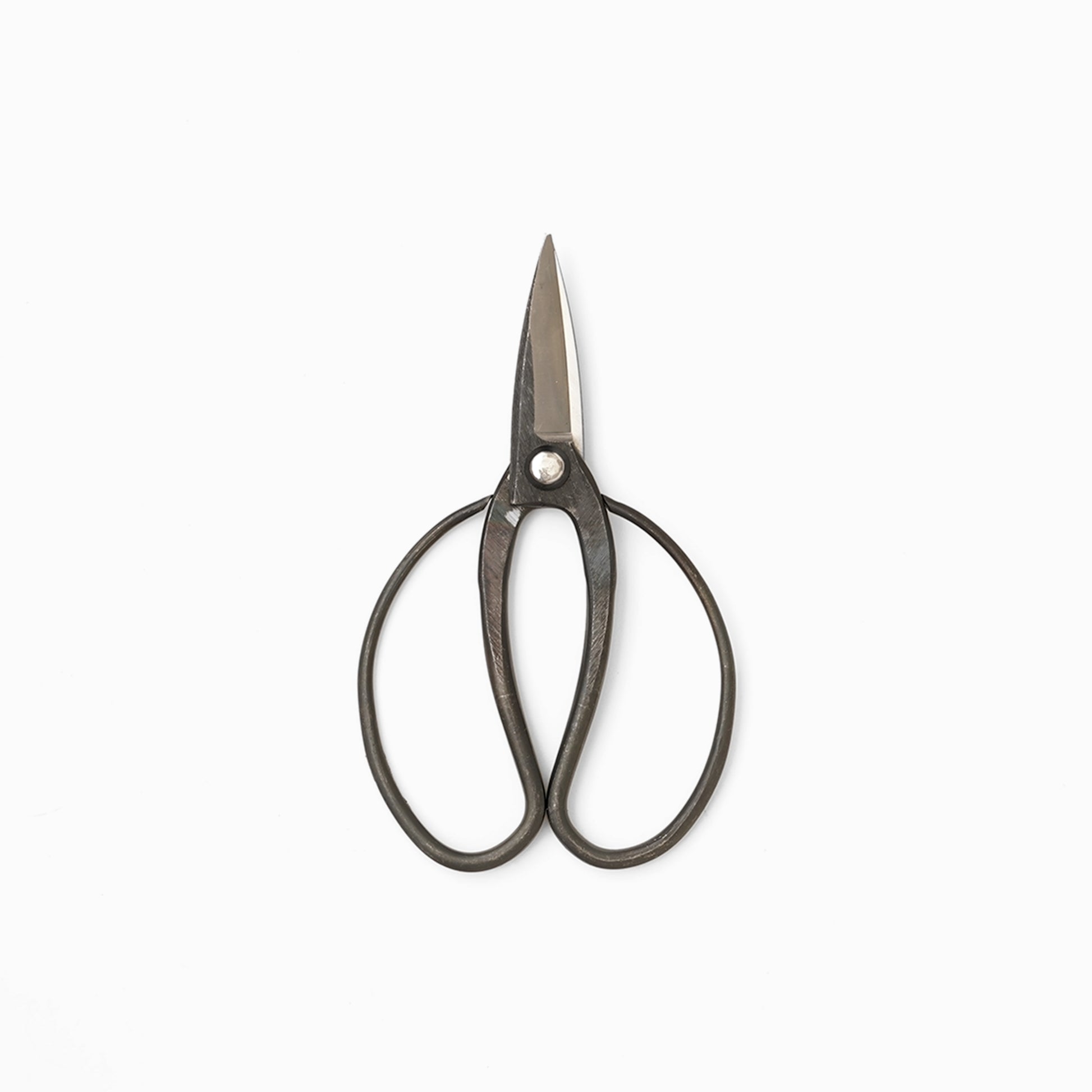 Toyama Hamono Garden Scissors