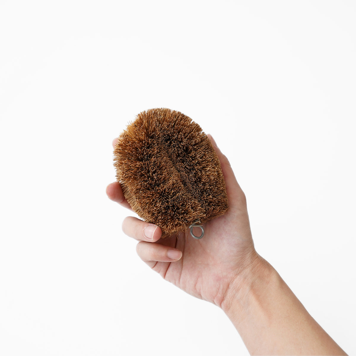Kamenoko Tawashi Cleaning Brush - S detail image 3, Japanese homeware and gifts at SF76